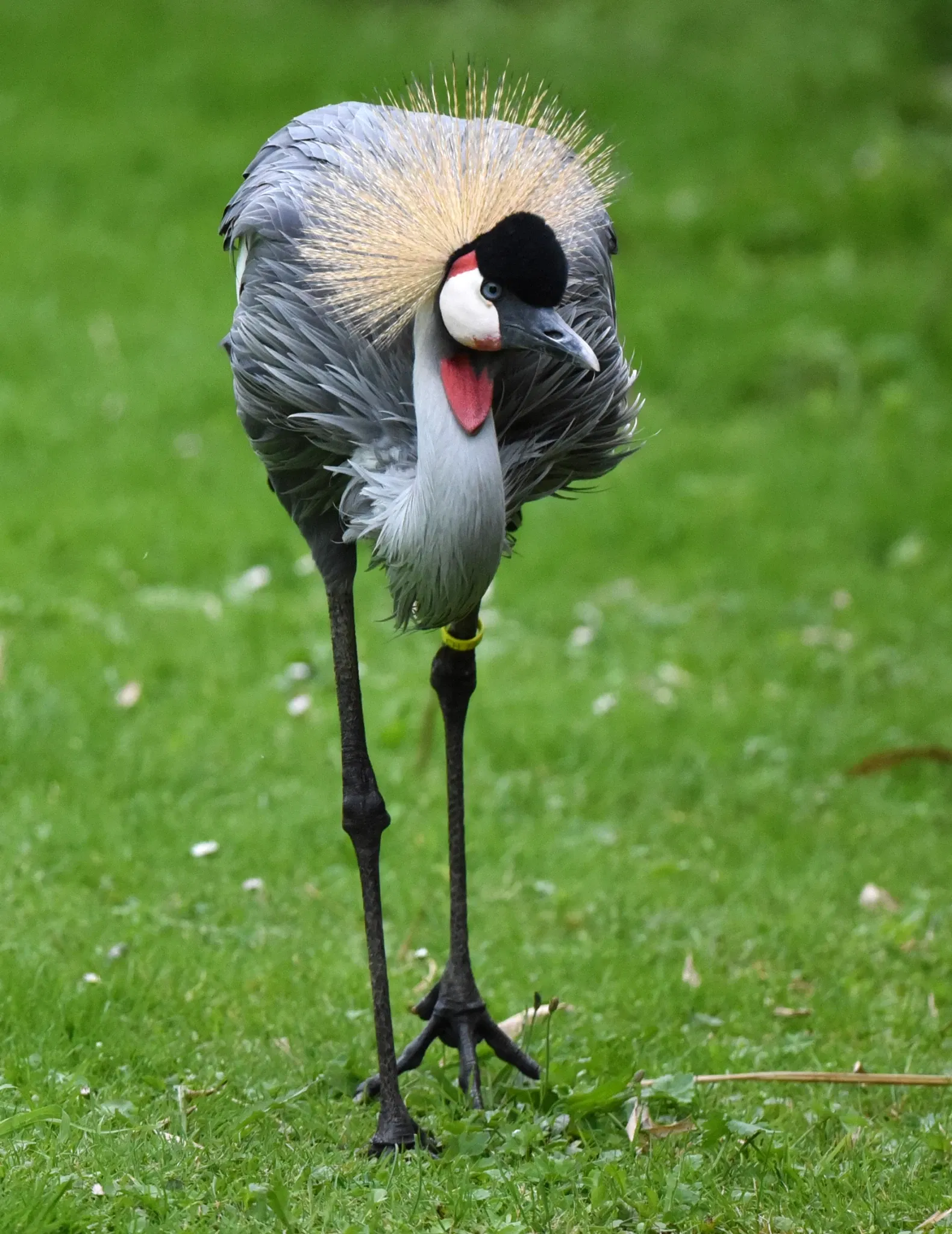 Tropiquarium de Servion