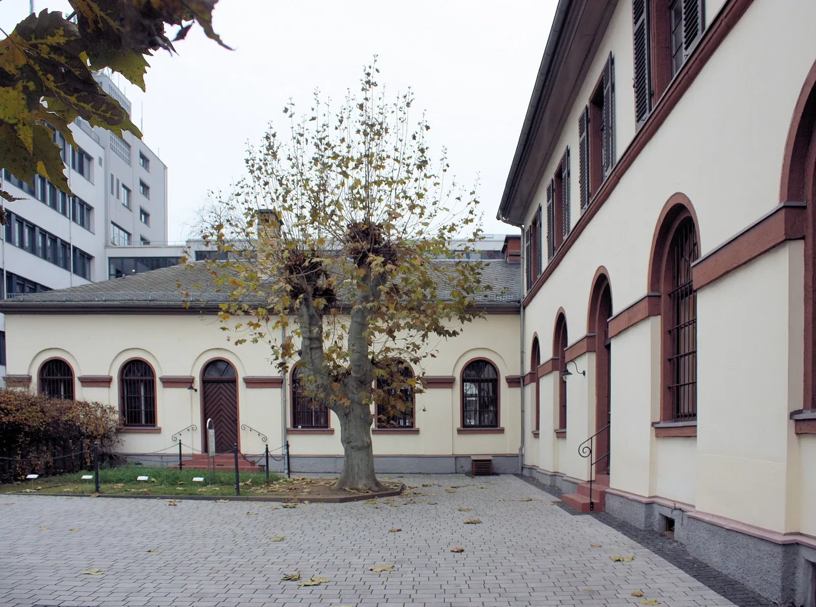 Liebig-Museum