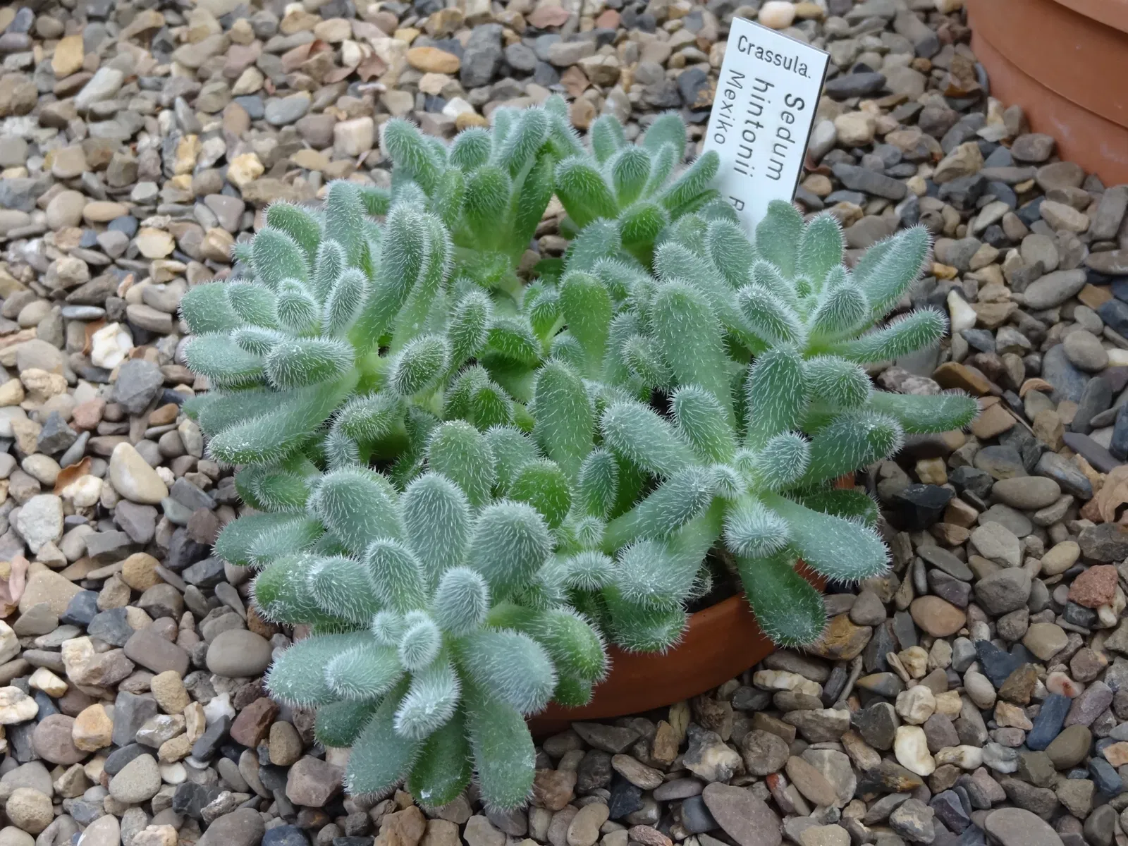 Botanischer Garten Gießen