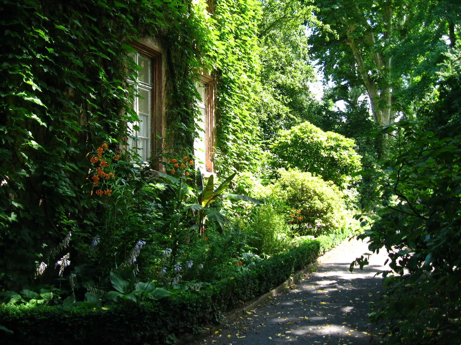 Botanischer Garten Gießen
