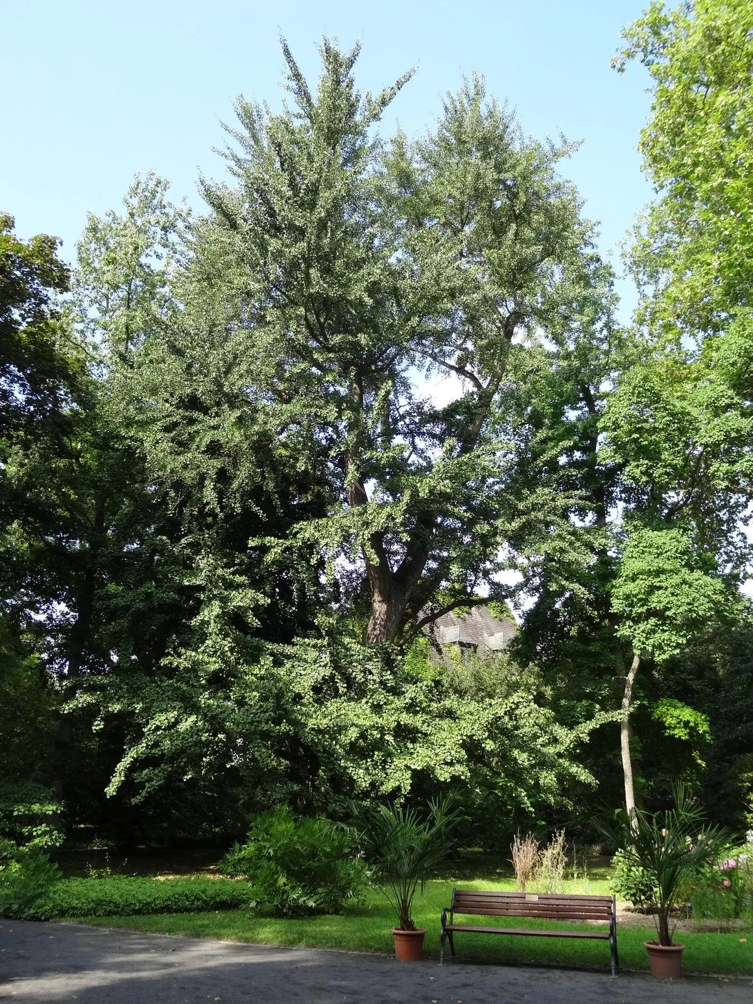 Botanischer Garten Gießen