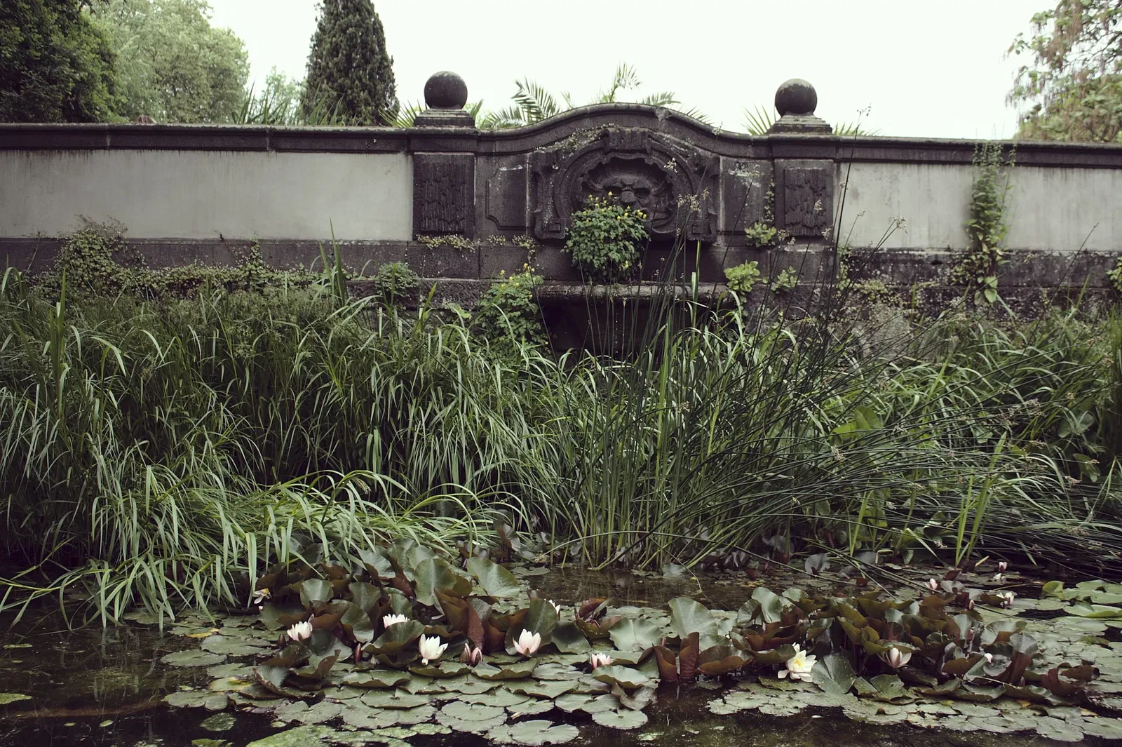 Botanischer Garten Gießen