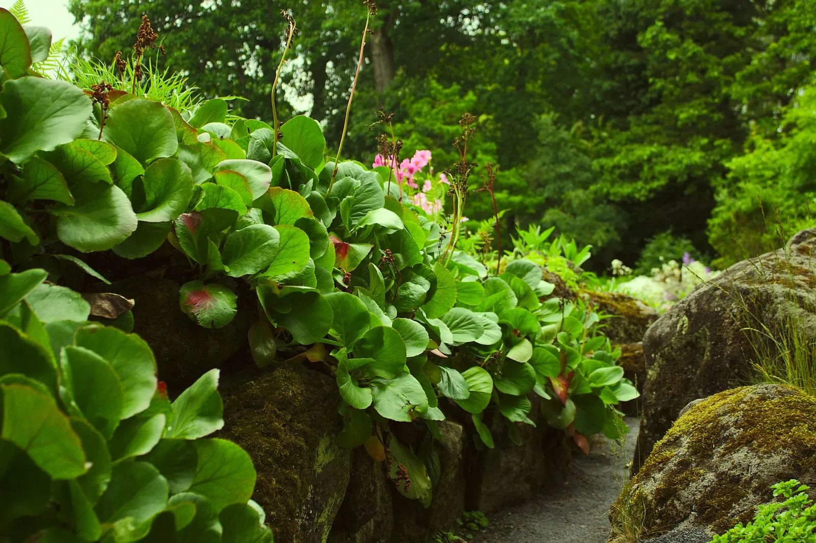 Botanischer Garten Gießen