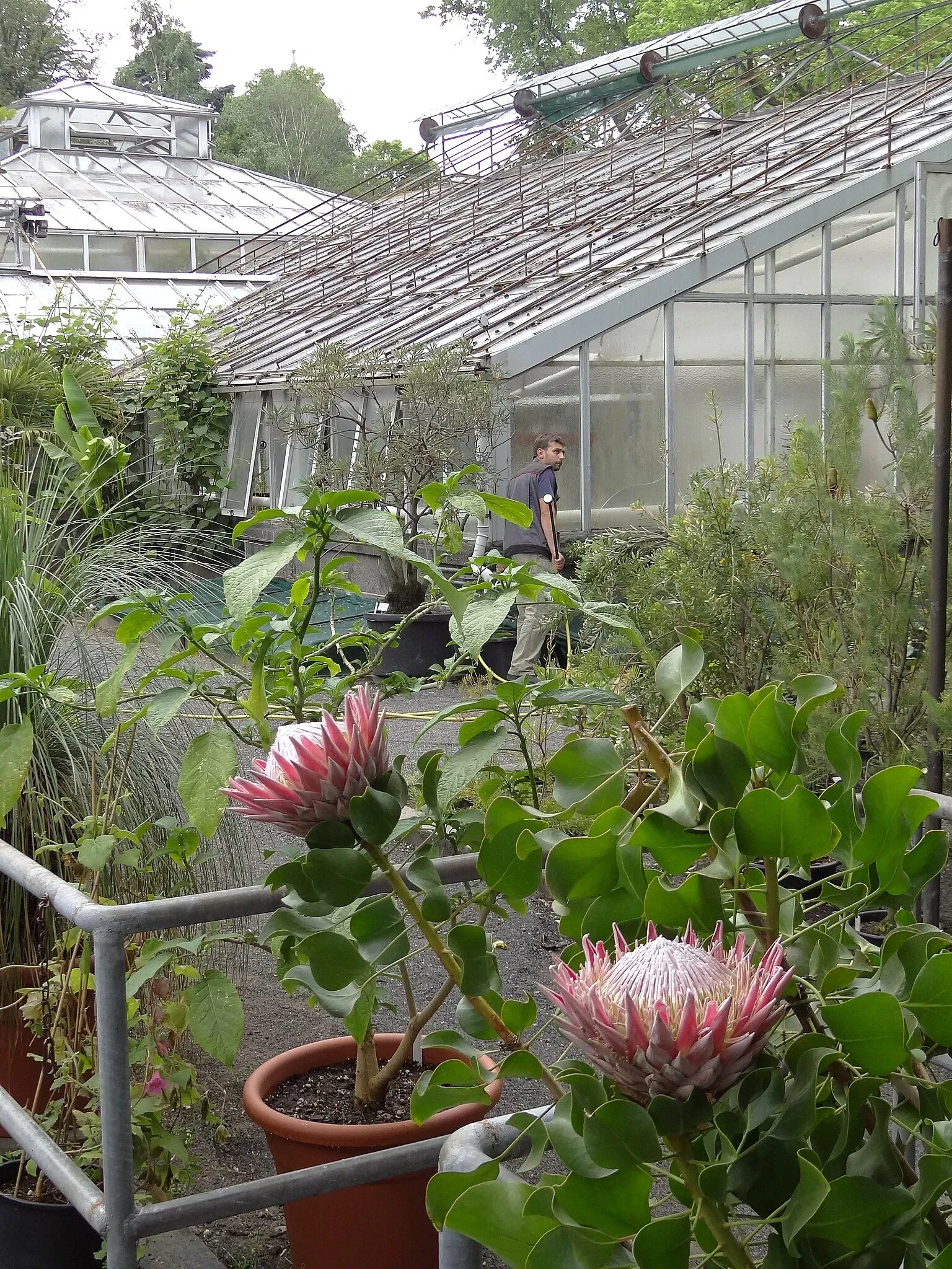 Botanischer Garten Gießen