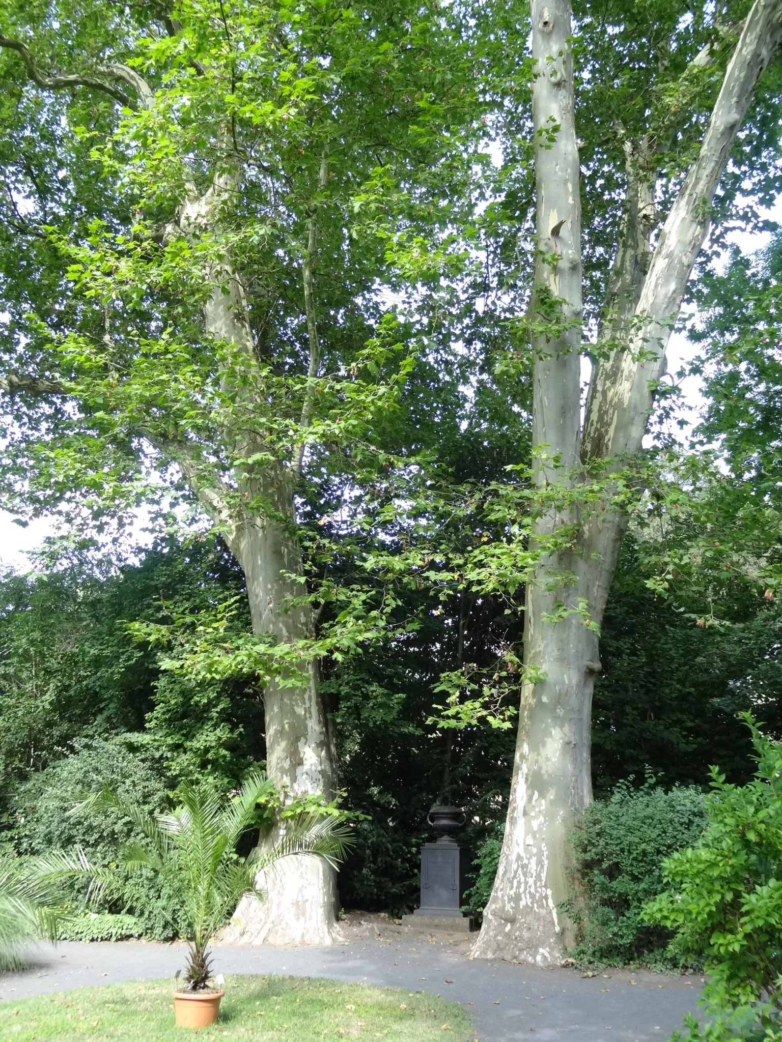 Botanischer Garten Gießen