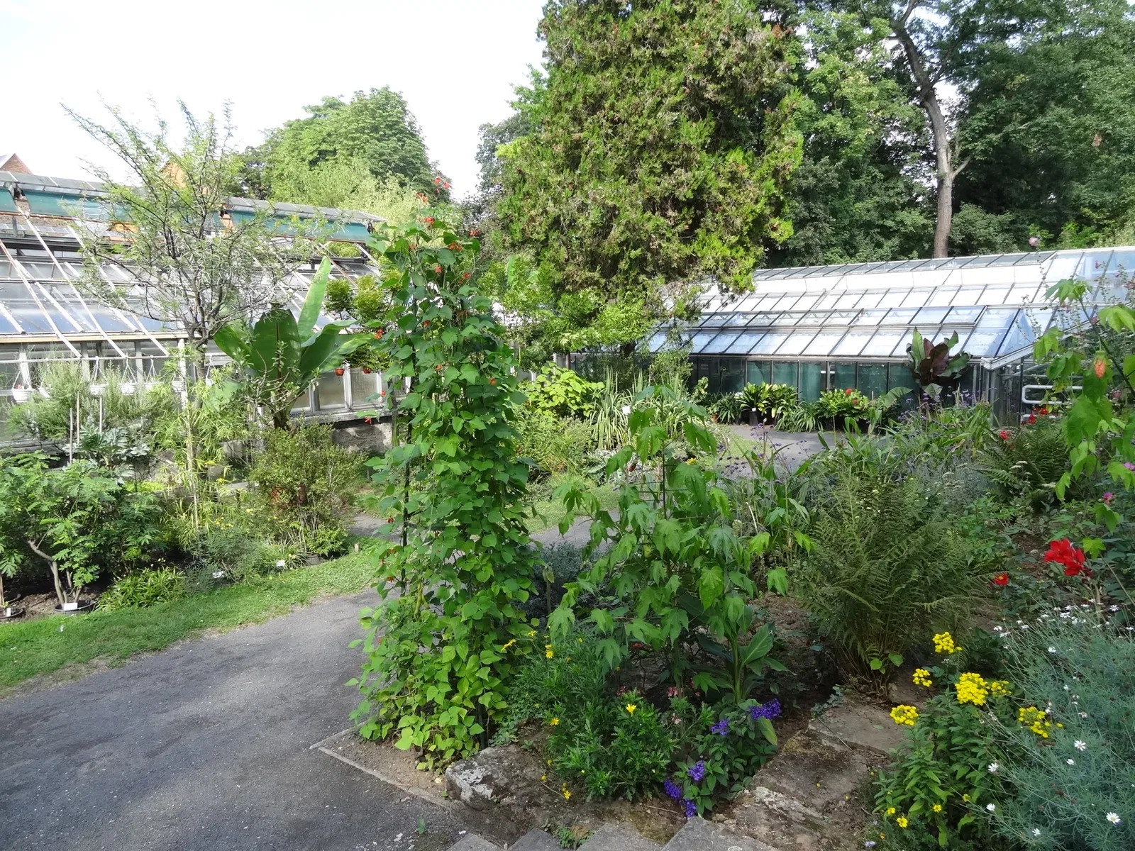 Botanischer Garten Gießen