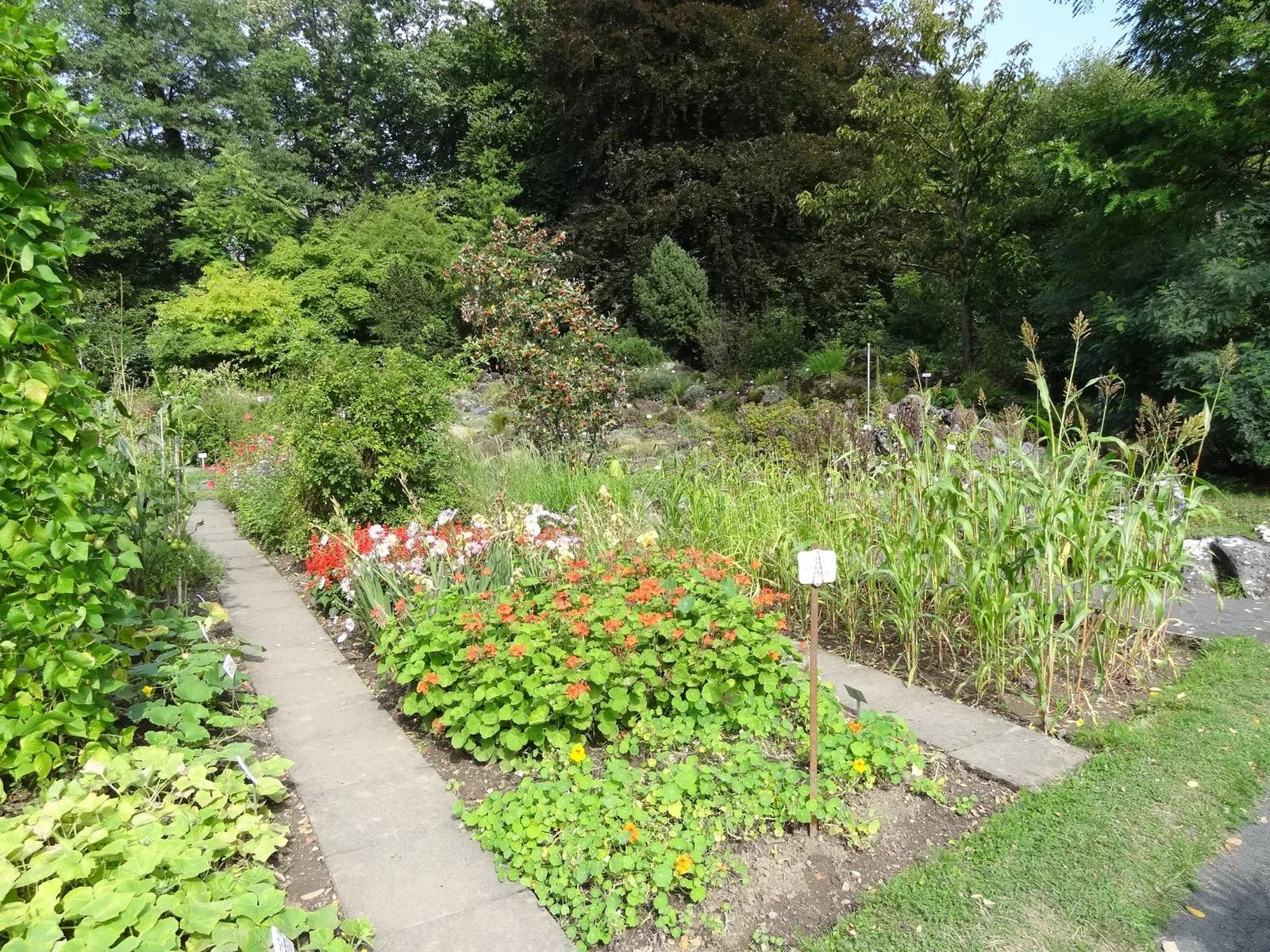 Botanischer Garten Gießen