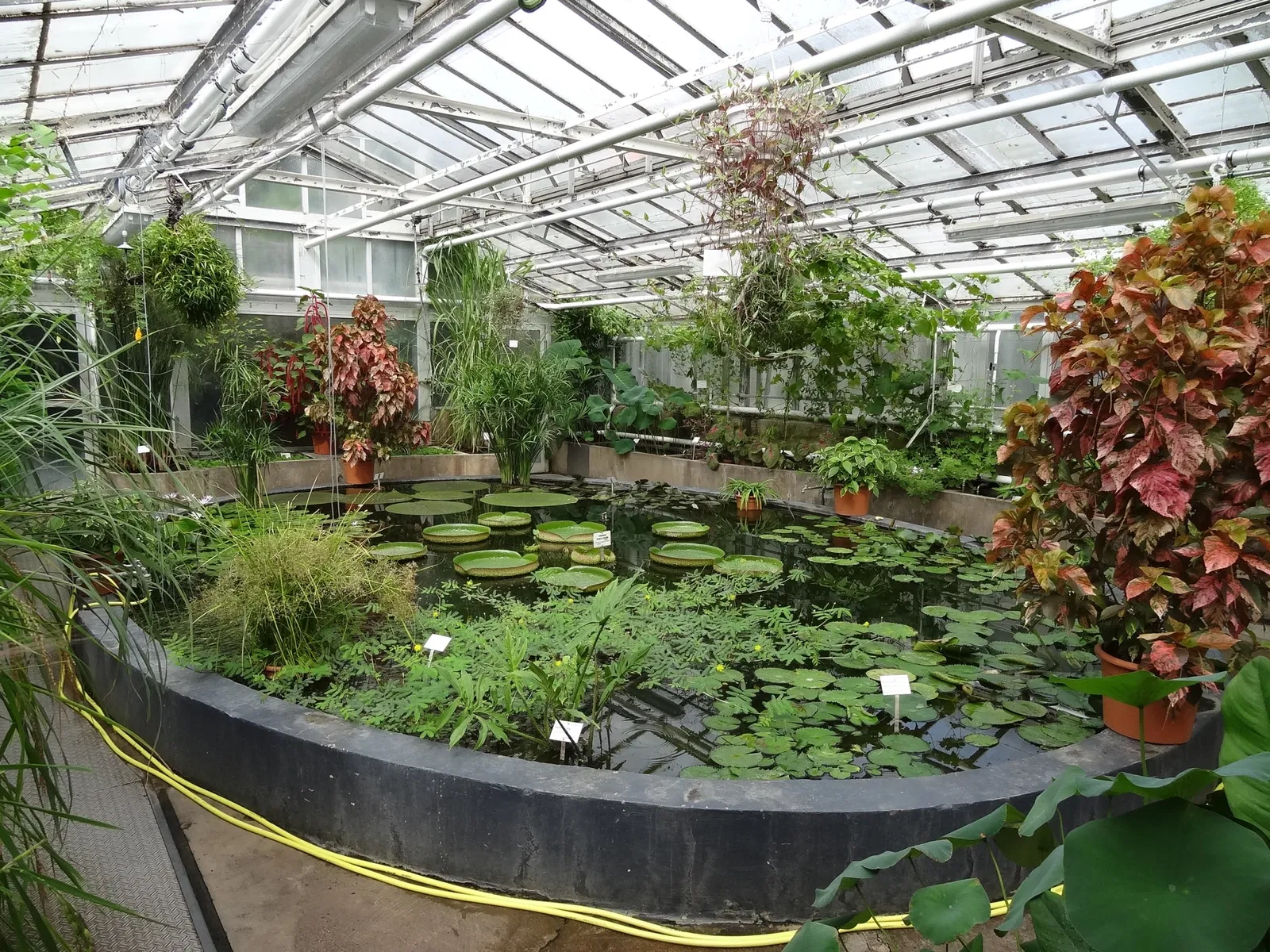 Jardín botánico de Giessen