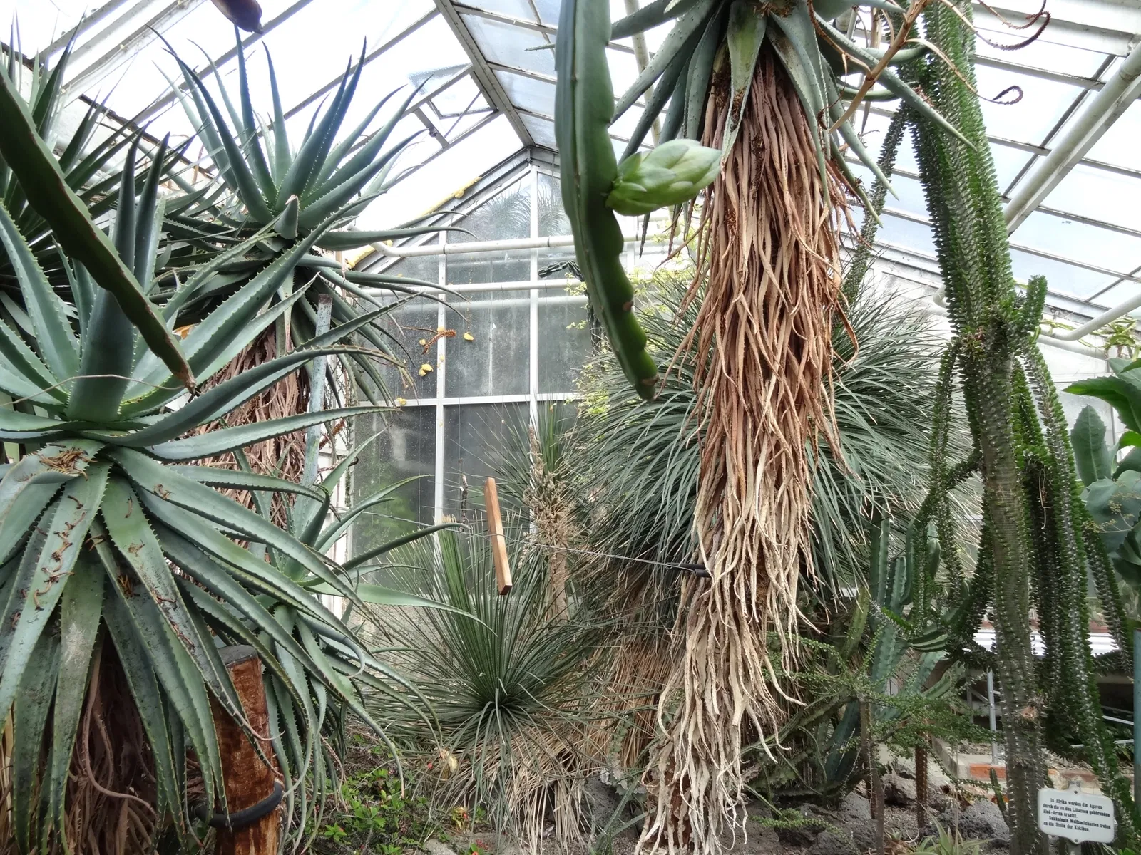 Botanischer Garten Gießen