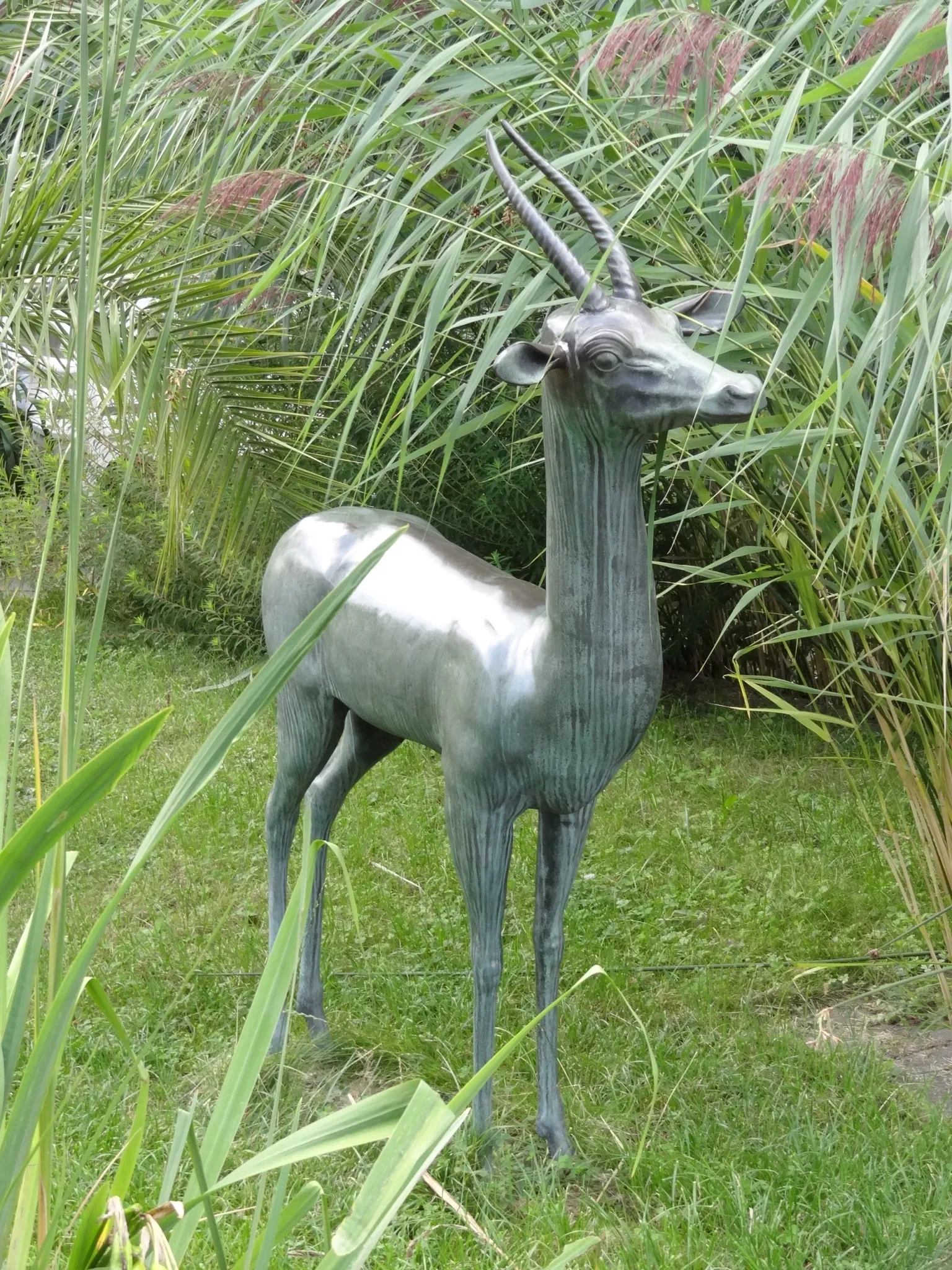 Botanischer Garten Gießen