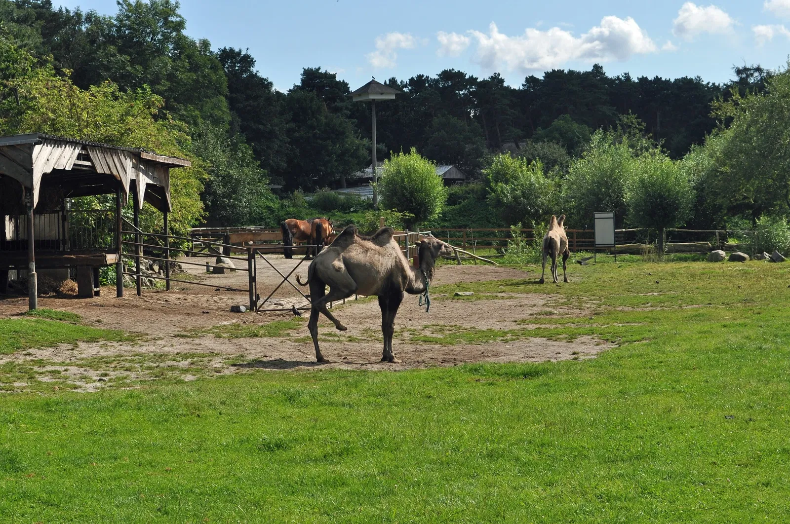 Zoo Stralsund