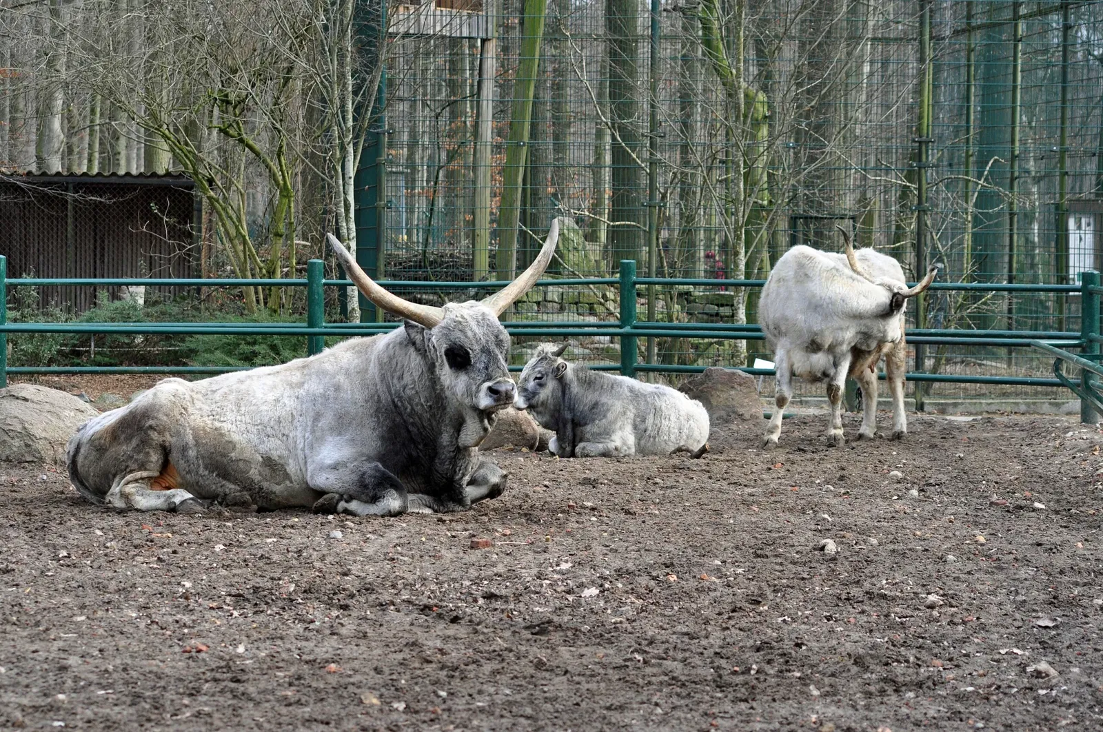 Zoo Stralsund