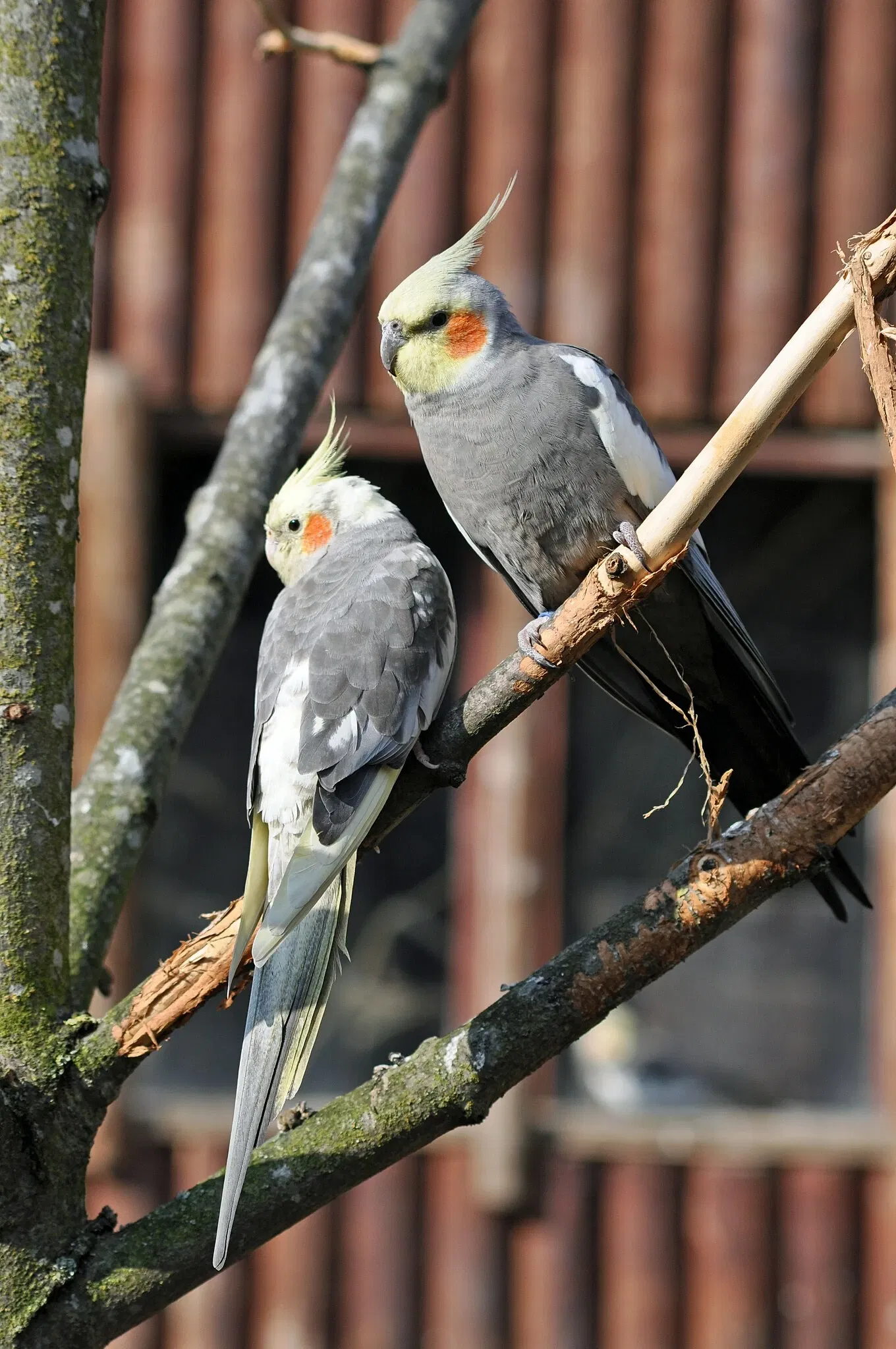 Zoo Stralsund