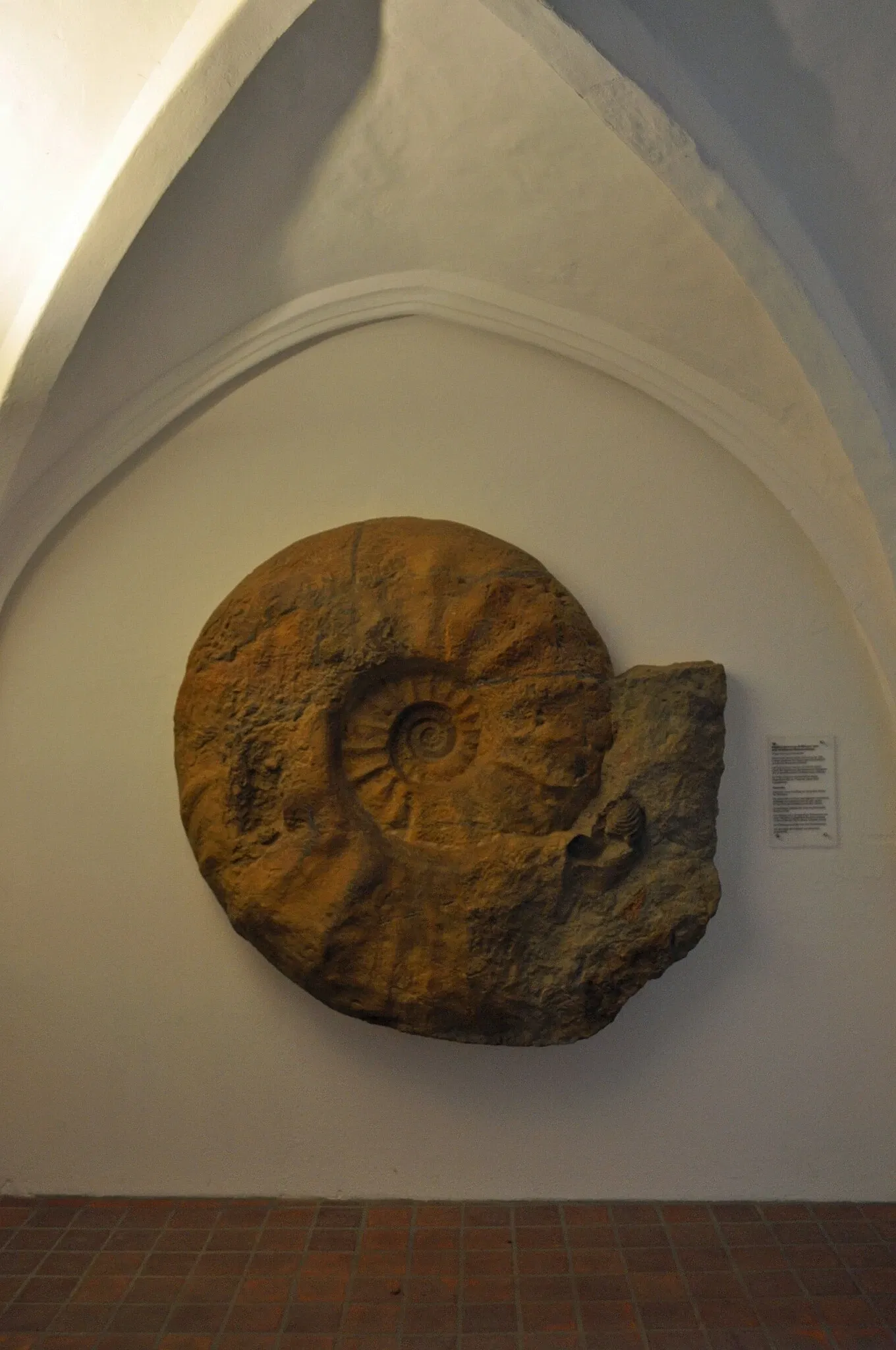 German Oceanographic Museum