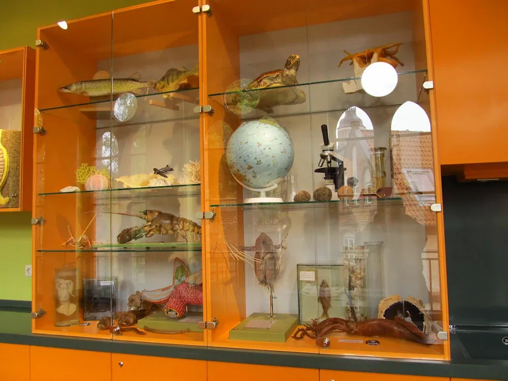 German Oceanographic Museum