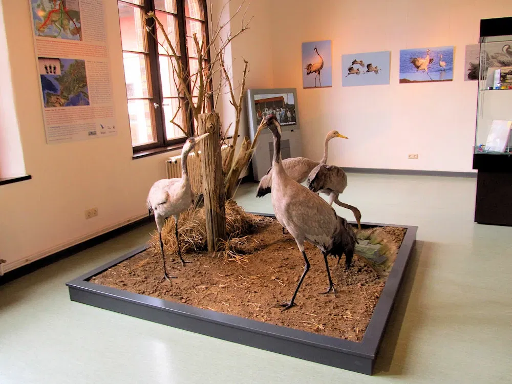 Deutsches Meeresmuseum