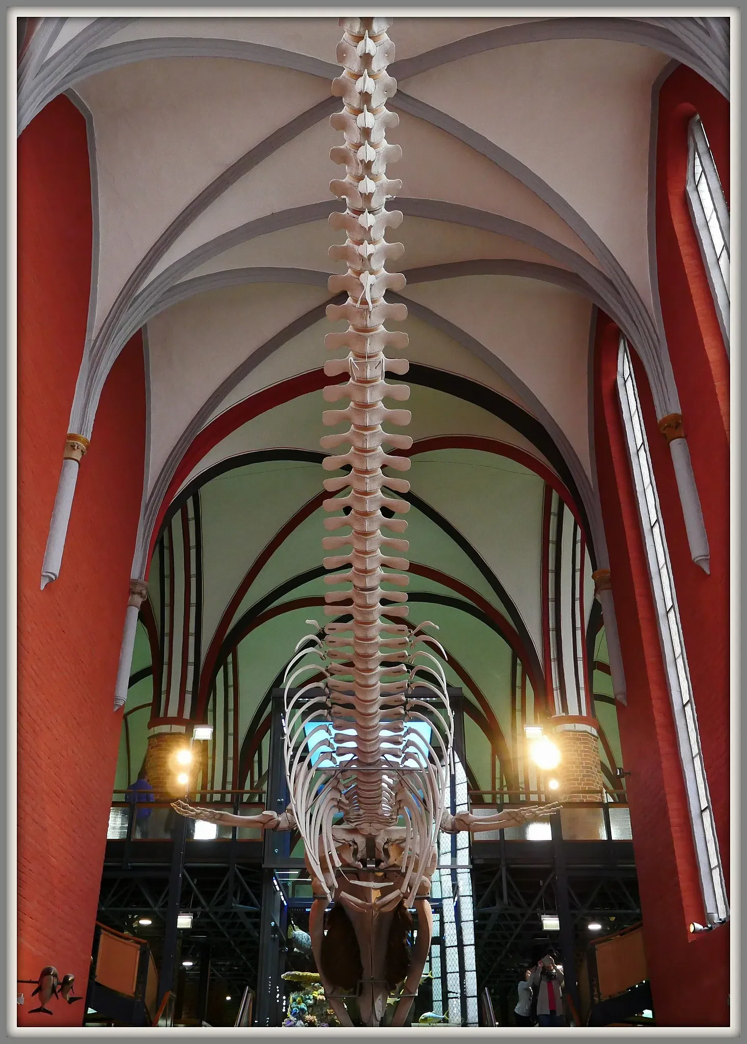 German Oceanographic Museum