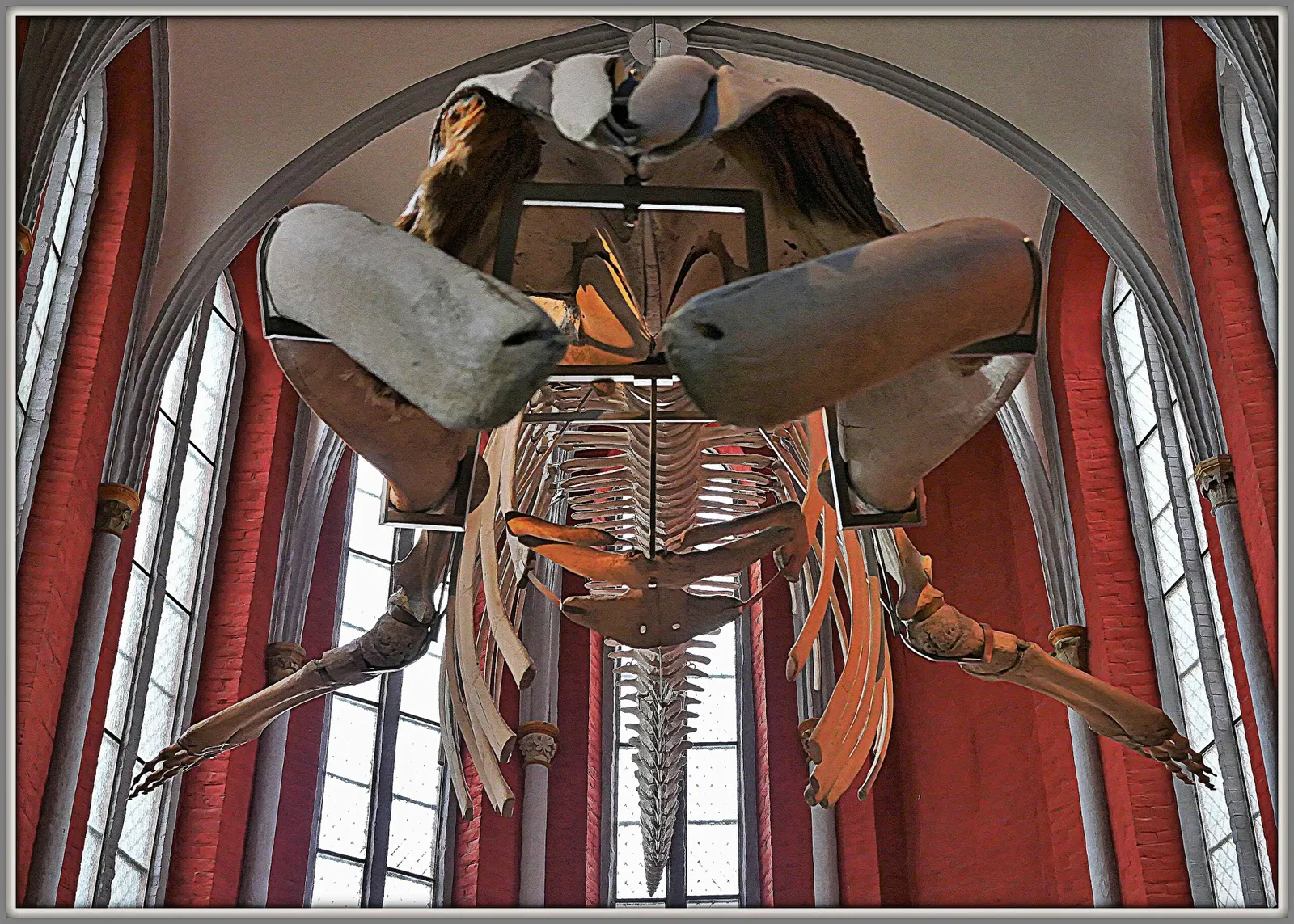 Deutsches Meeresmuseum