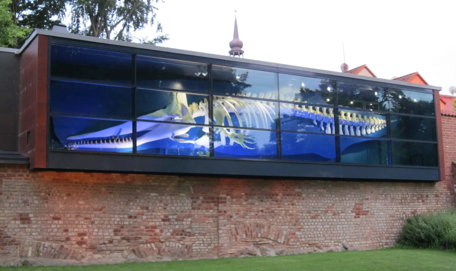 German Oceanographic Museum