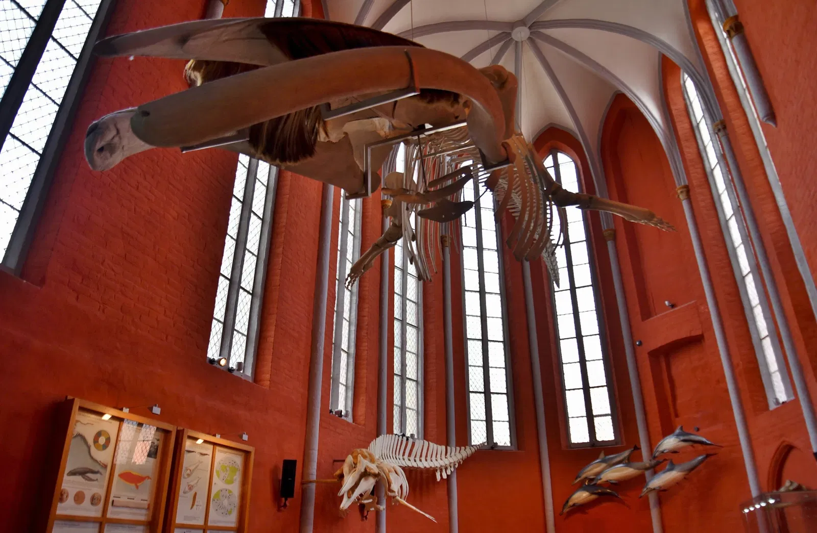 German Oceanographic Museum