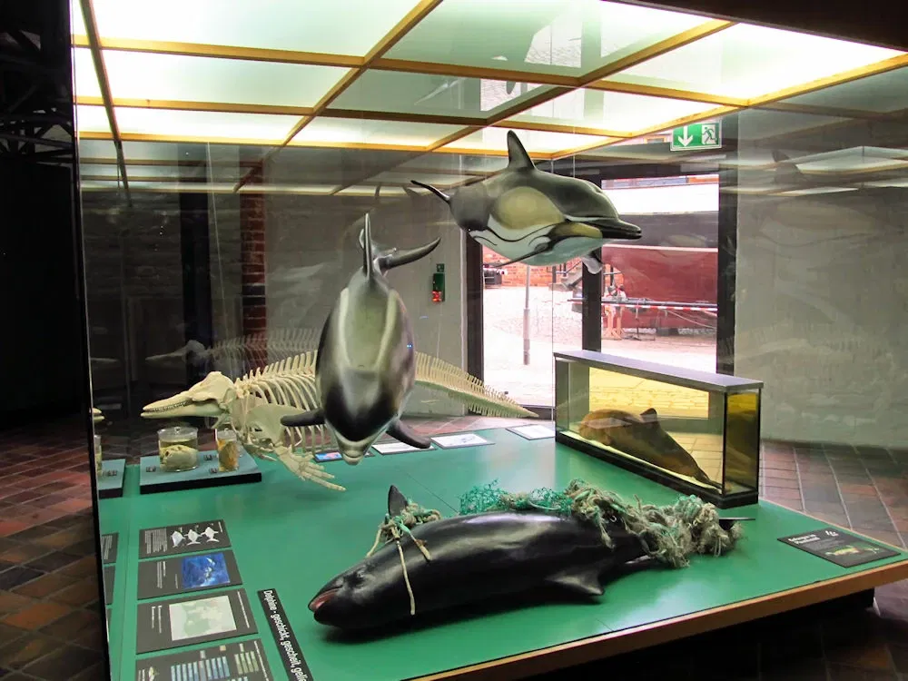 German Oceanographic Museum