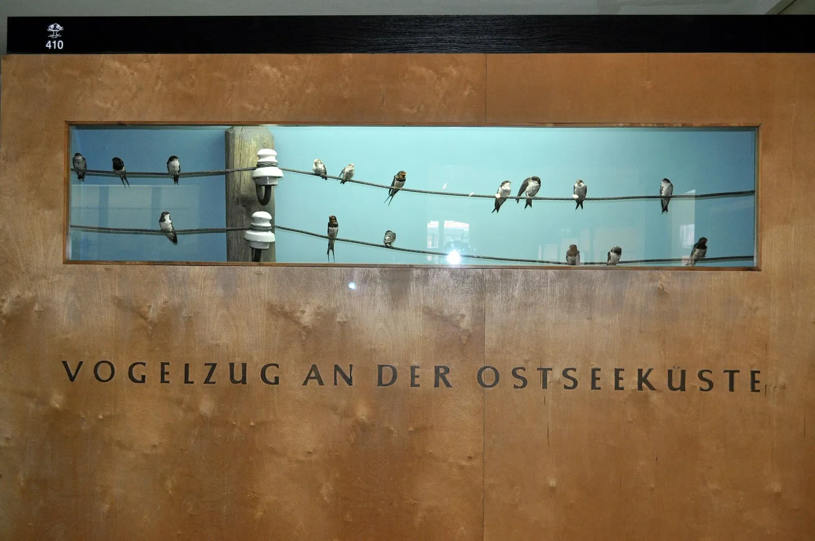 Deutsches Meeresmuseum