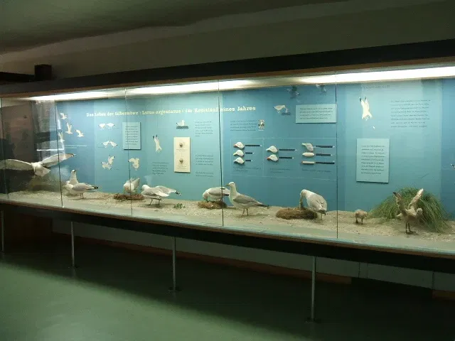 Deutsches Meeresmuseum