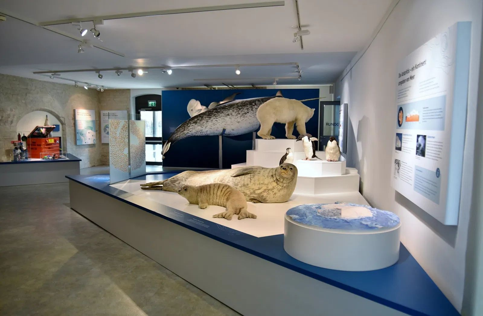 Deutsches Meeresmuseum