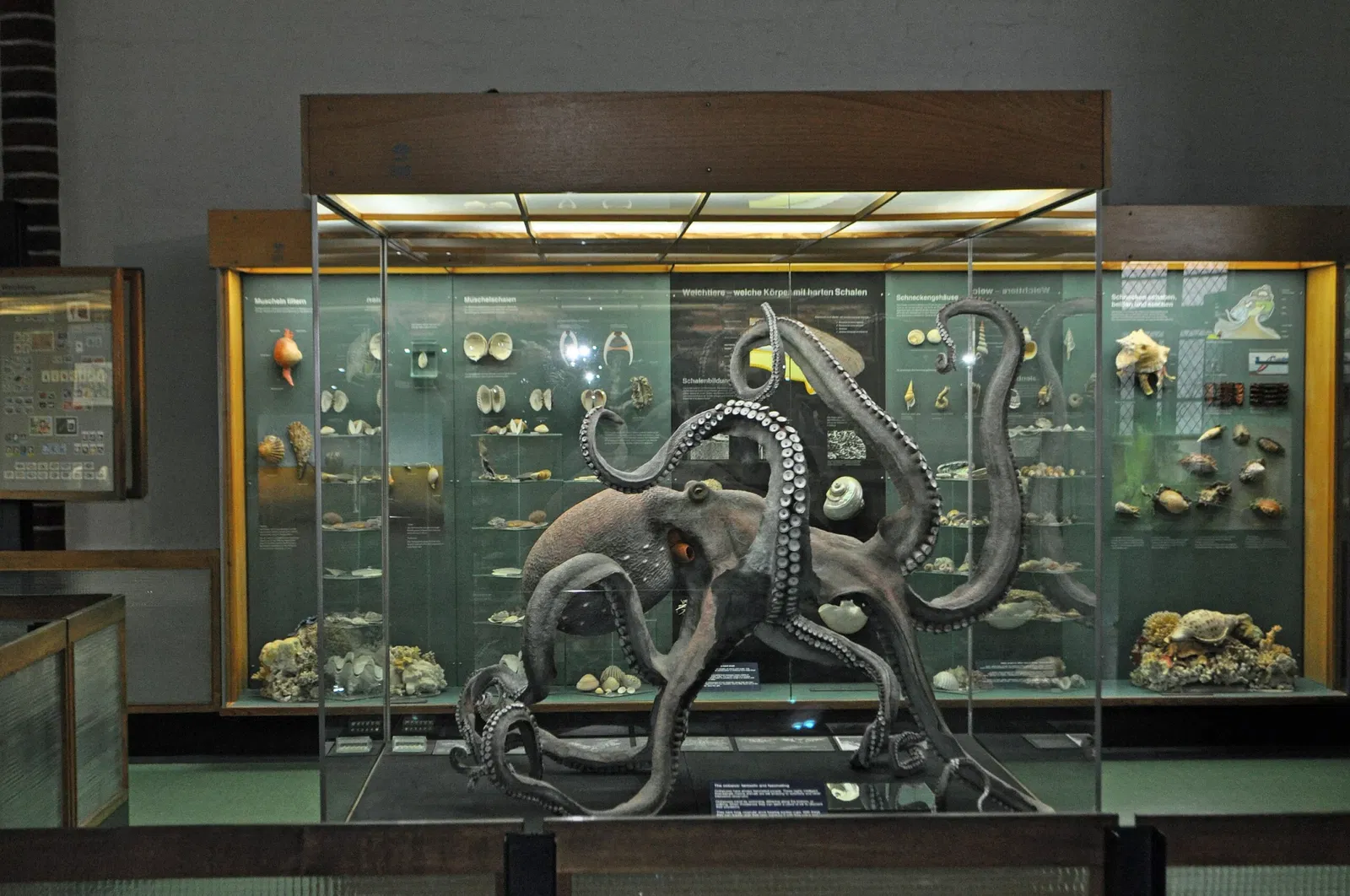 German Oceanographic Museum