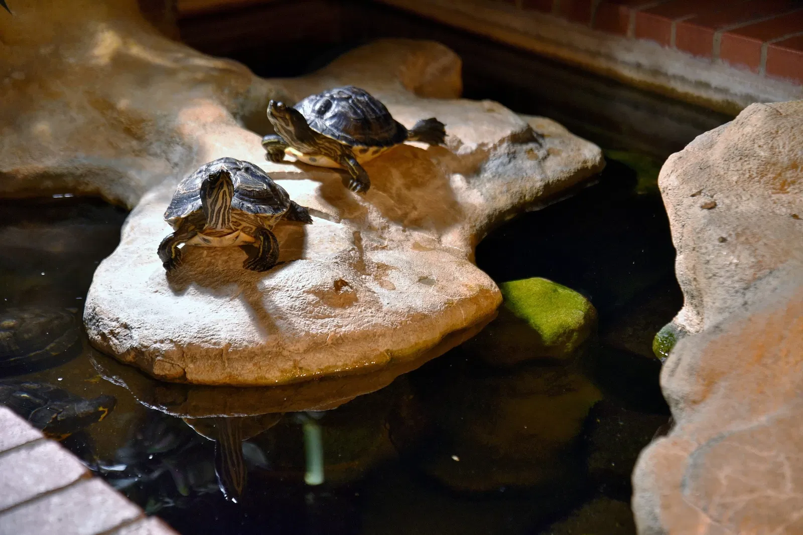 Deutsches Meeresmuseum