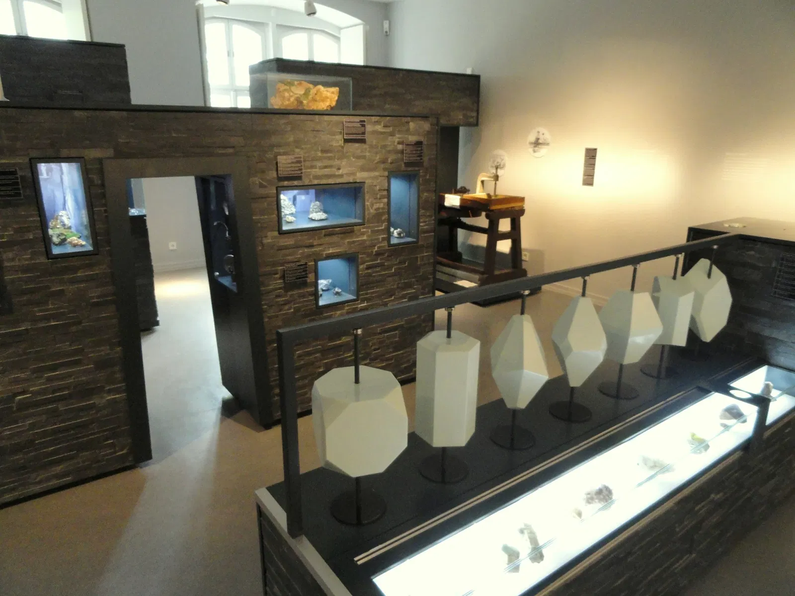 Museum Natur und Mensch