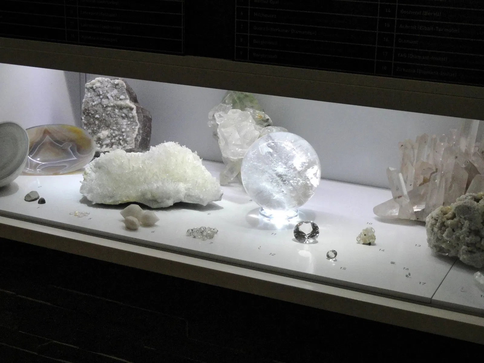 Museum Natur und Mensch