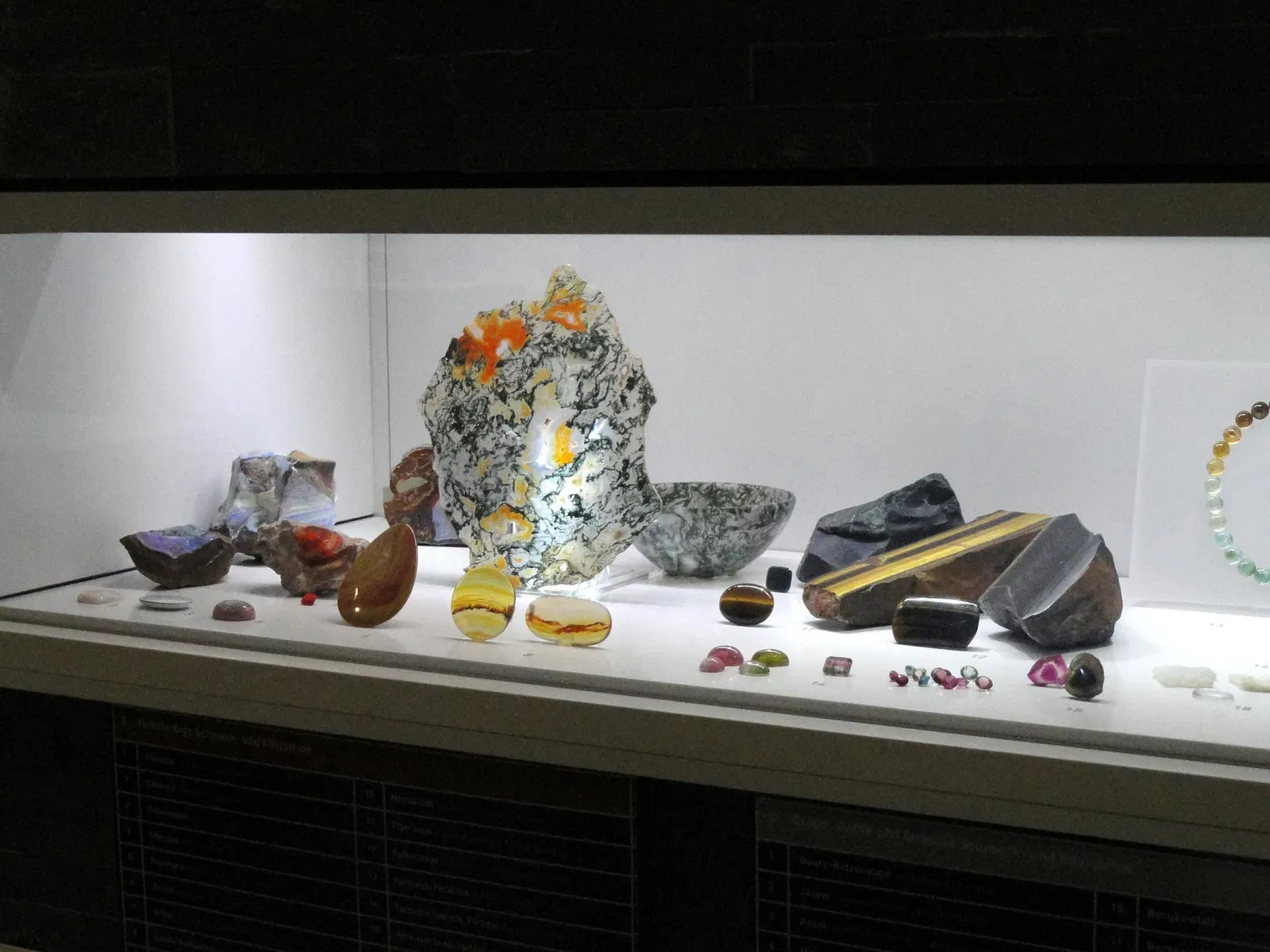 Museum Natur und Mensch