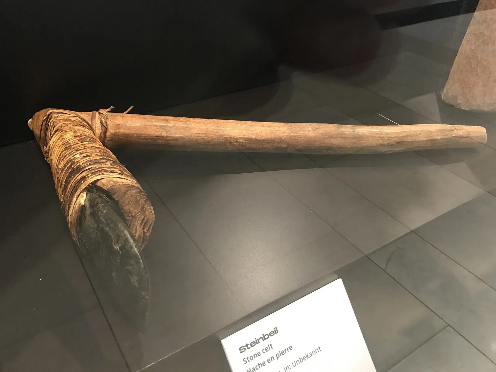 Museum Natur und Mensch