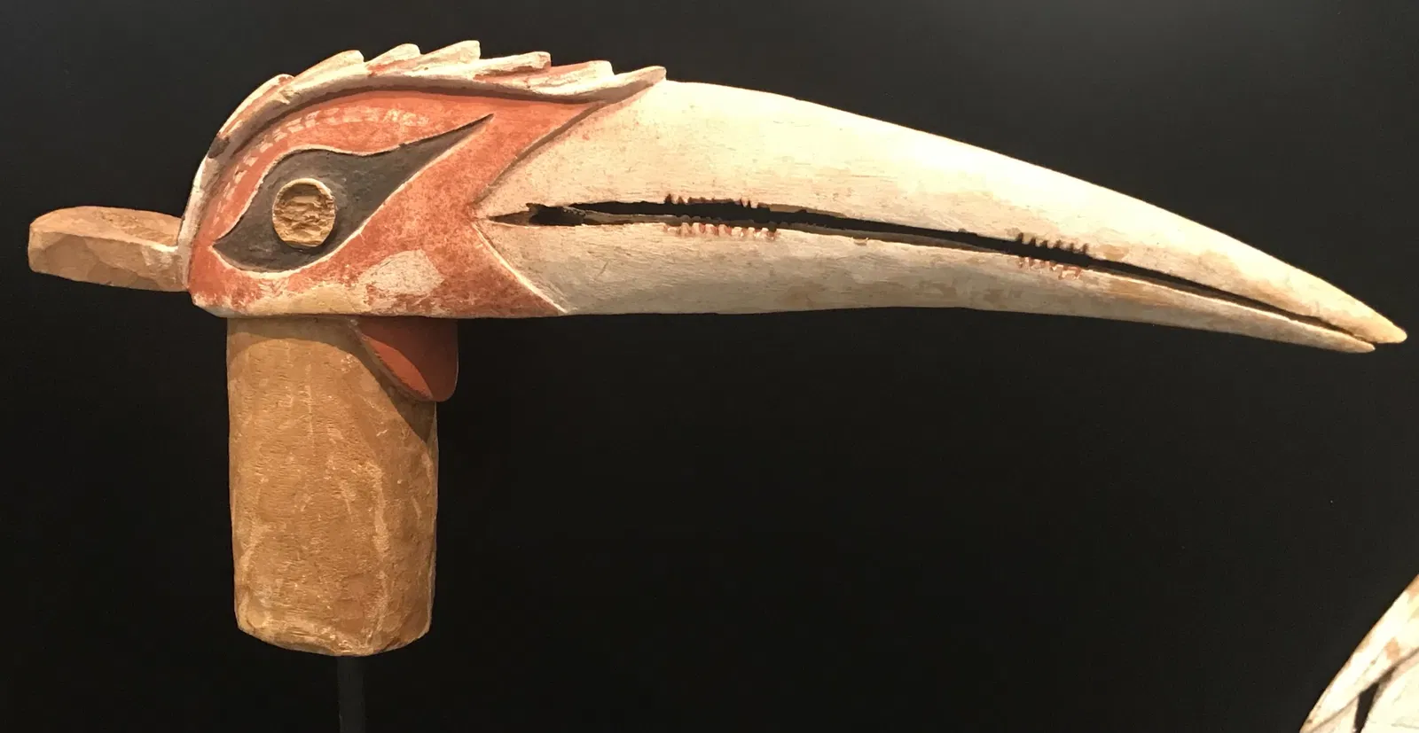 Museum Natur und Mensch