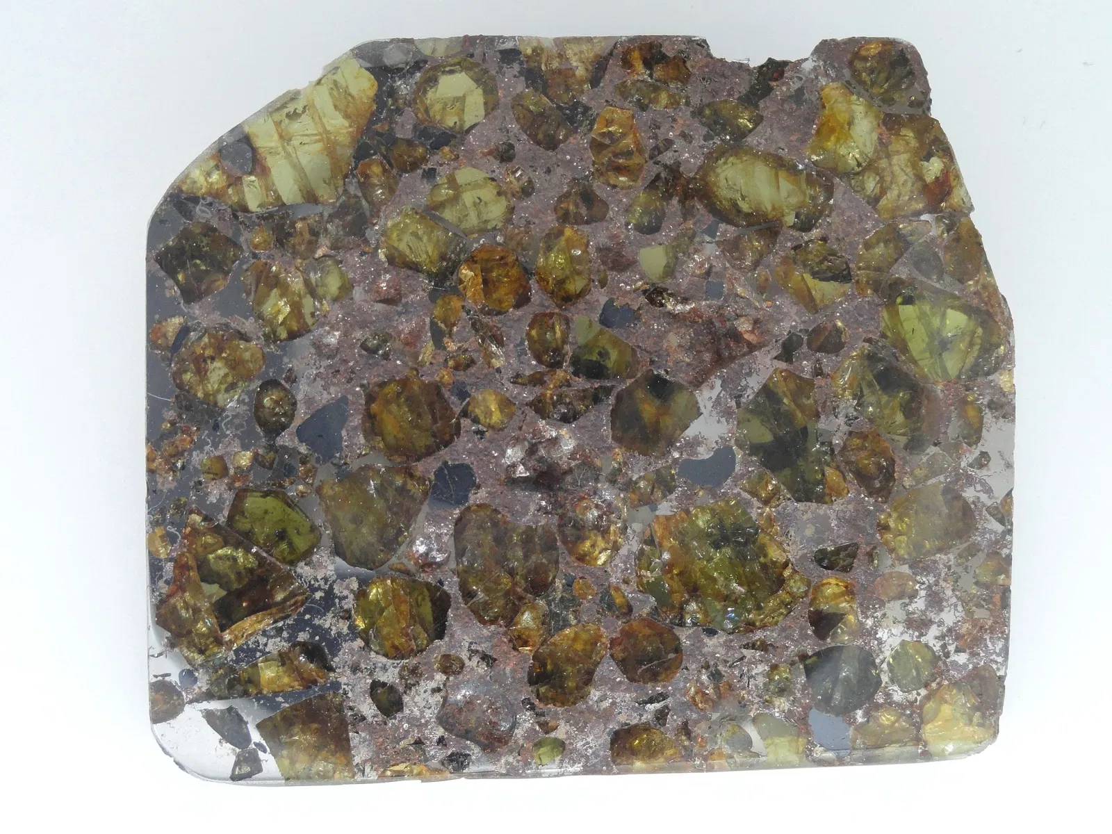 Museum Natur und Mensch