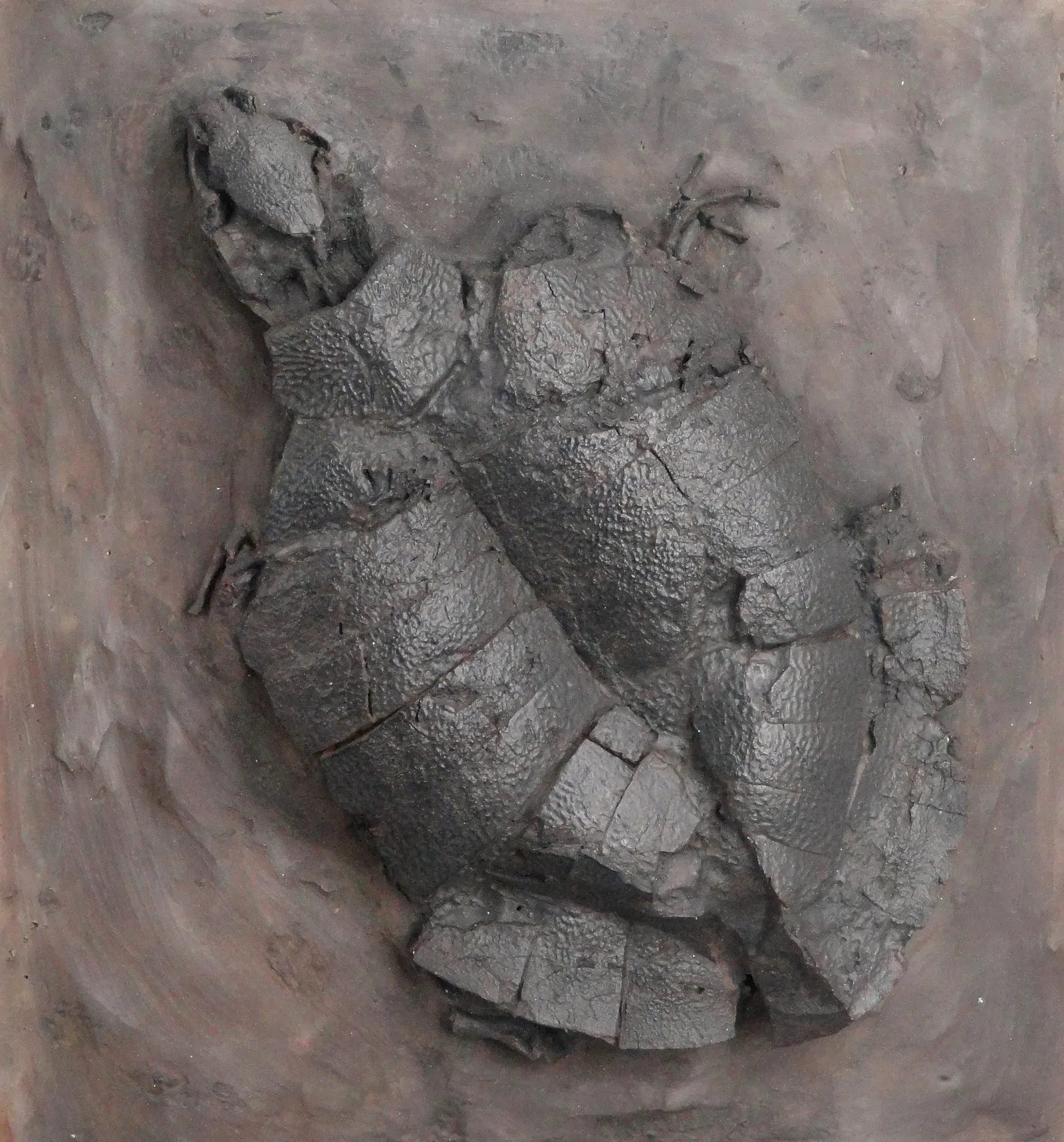 Museum Natur und Mensch