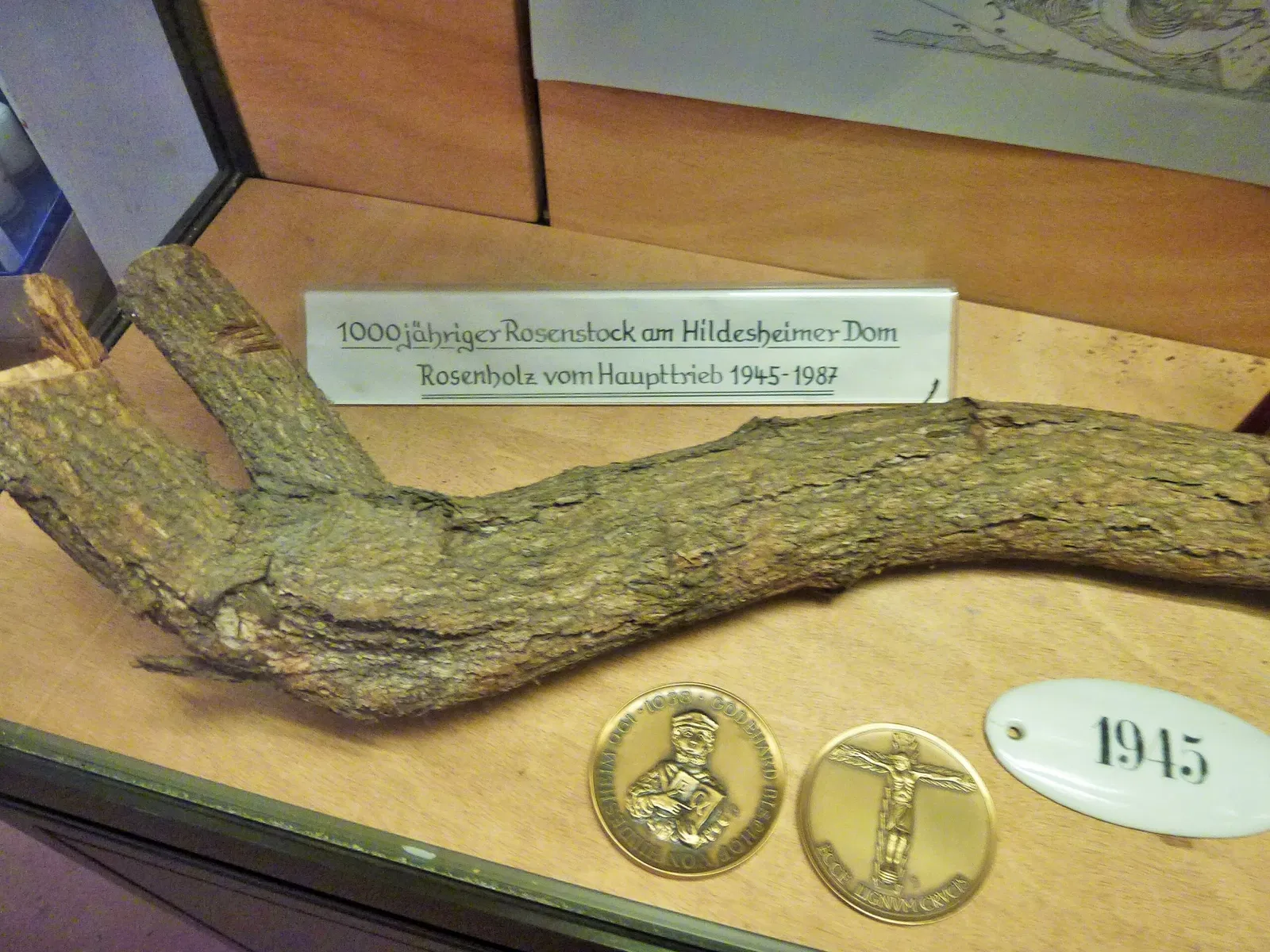 Museo della cattedrale di Hildesheim