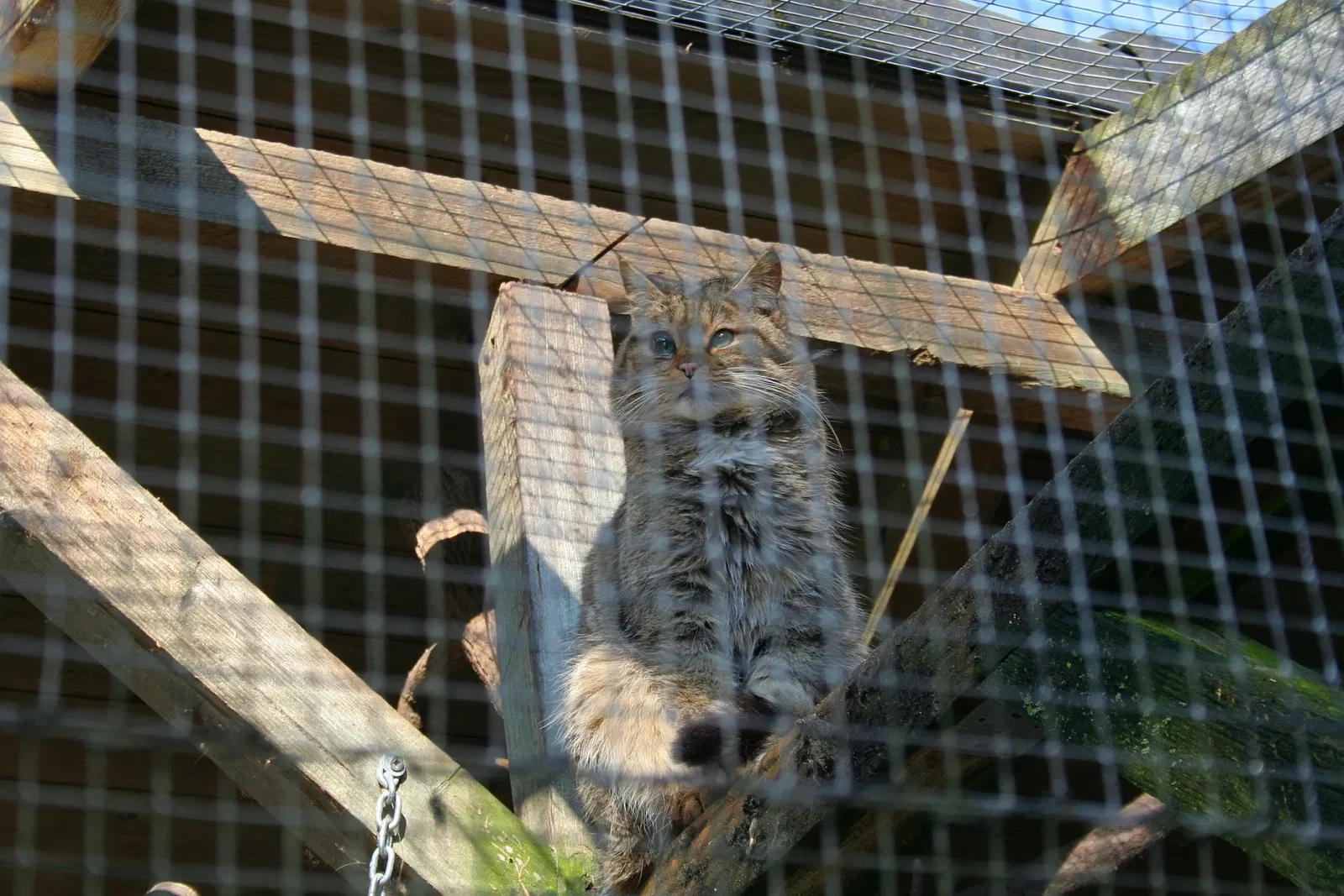 Solinger Vogel- und Tierpark