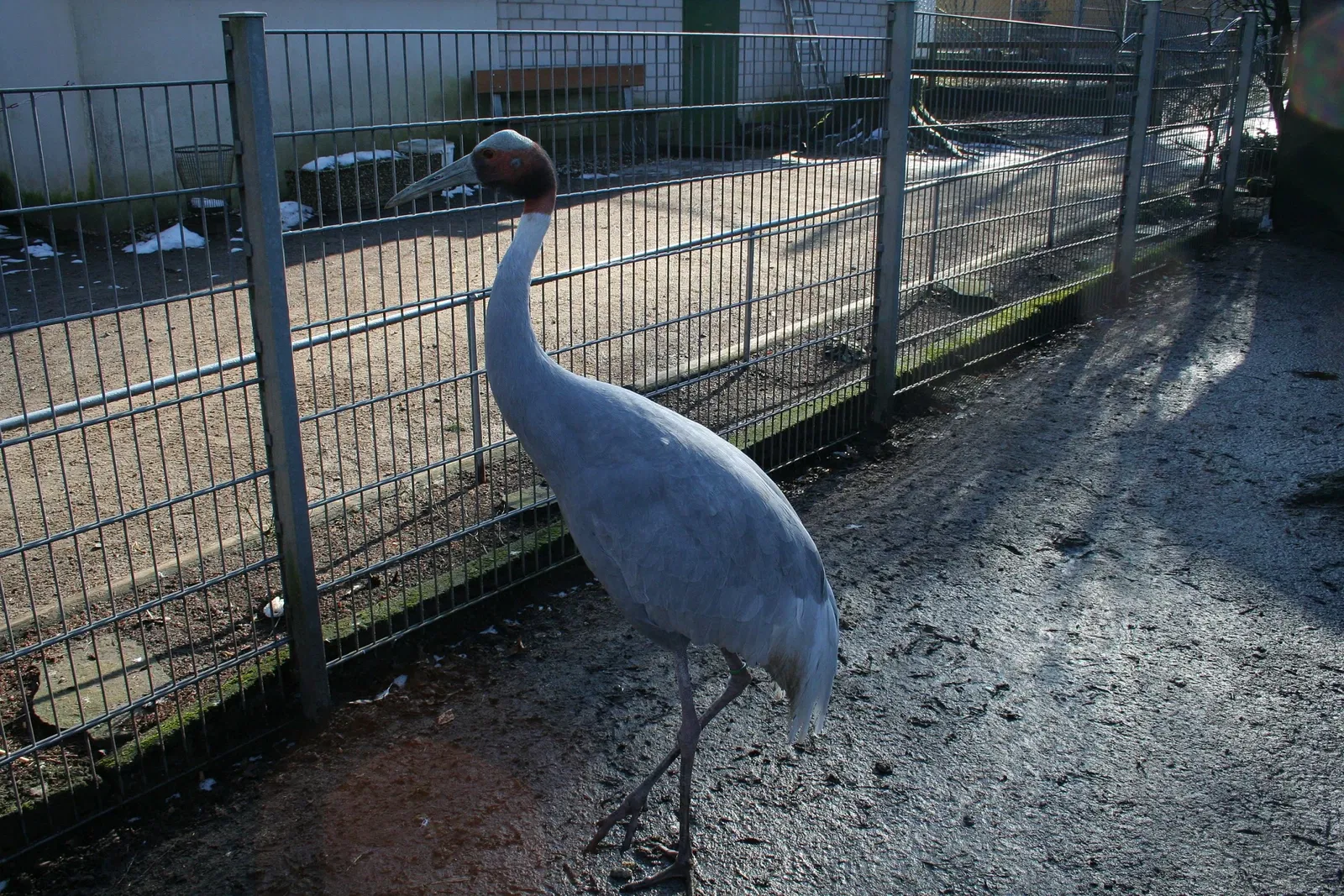 Solinger Vogel- und Tierpark