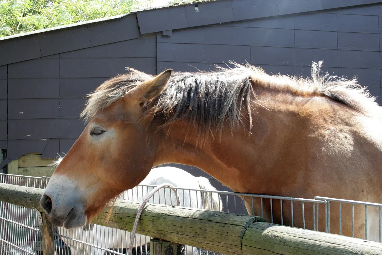 Solinger Vogel- und Tierpark