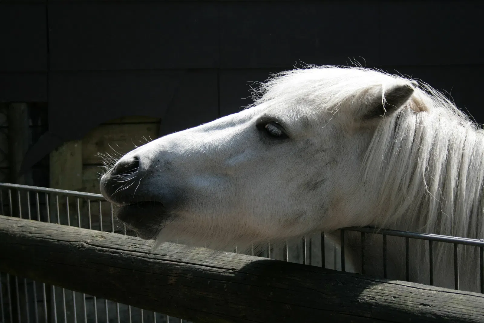 Solinger Vogel- und Tierpark