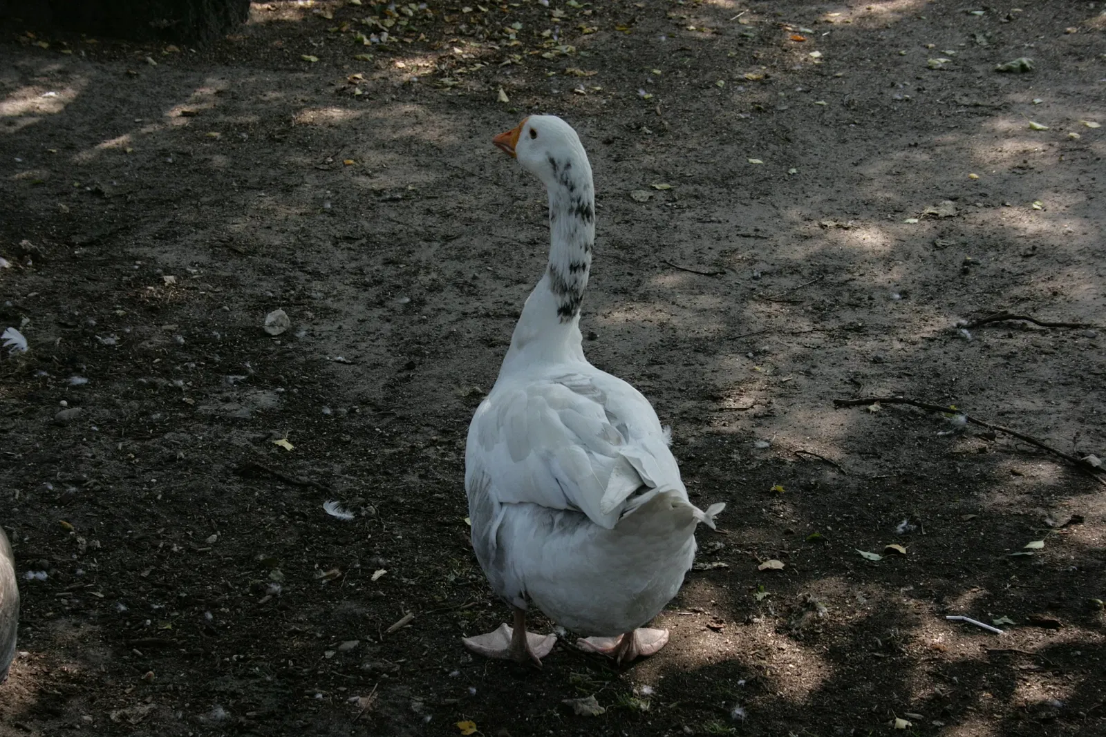 Solinger Vogel- und Tierpark