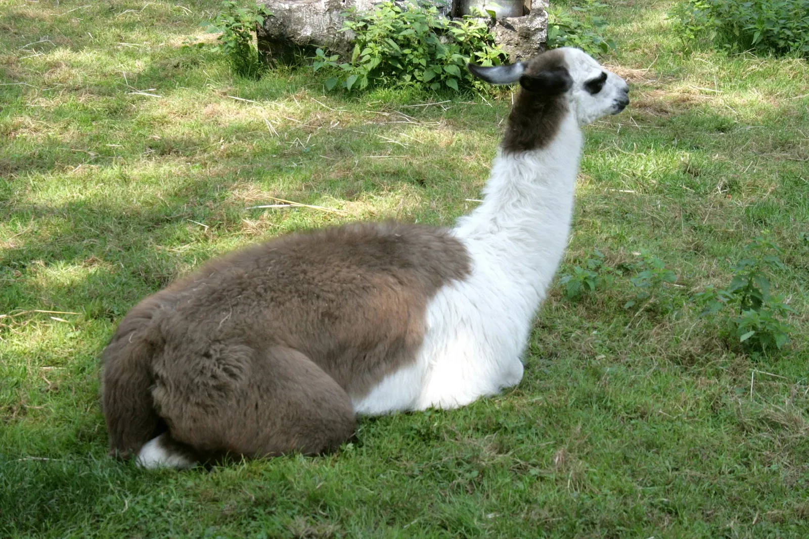 Solinger Vogel- und Tierpark
