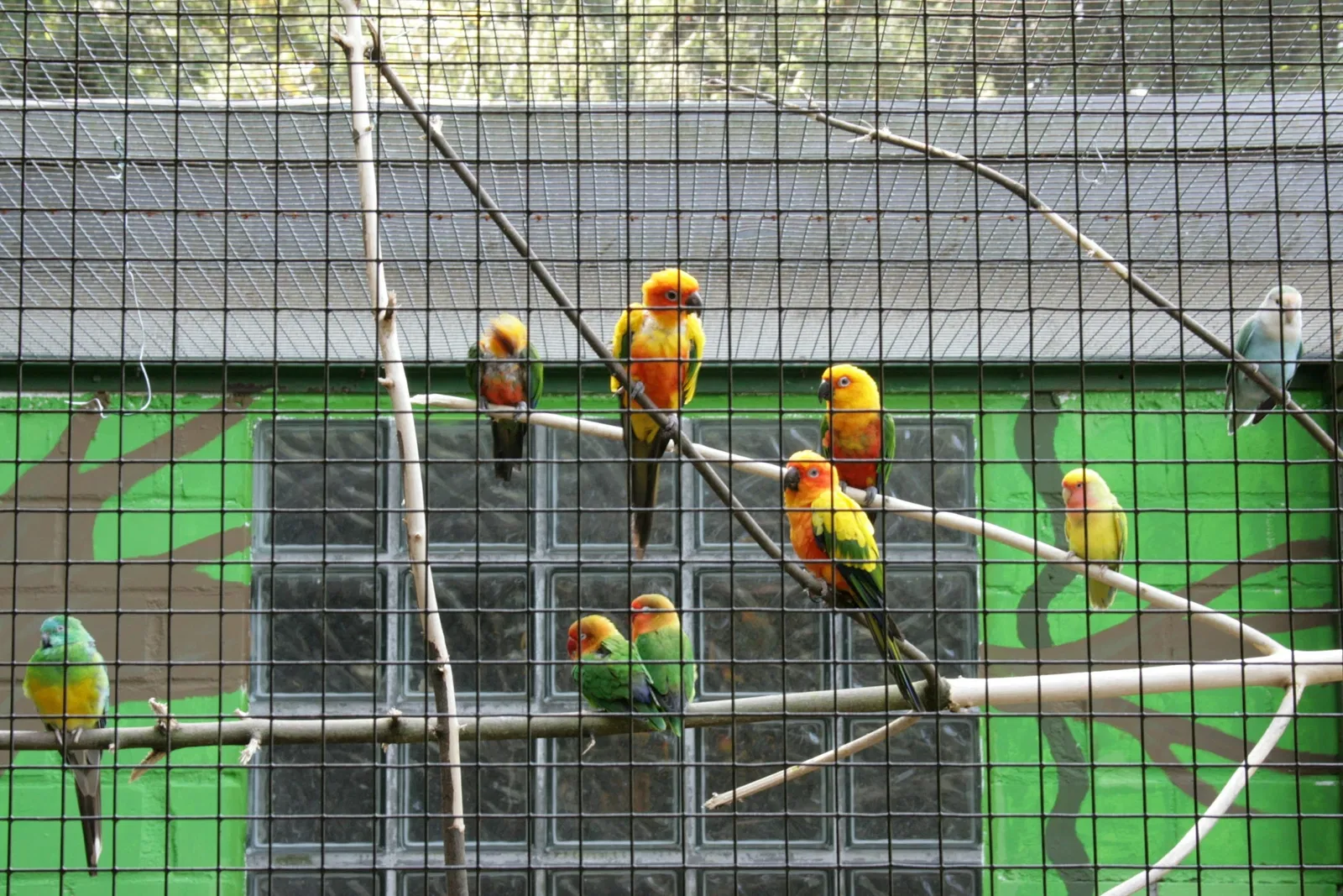Solinger Vogel- und Tierpark