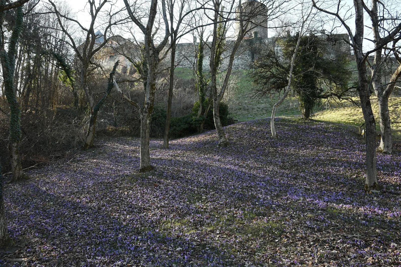 Burgmuseum Archeo Norico