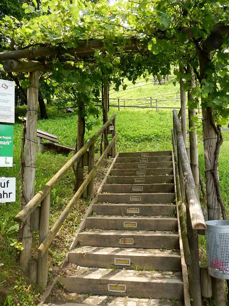 Archeo Norico Castle Museum