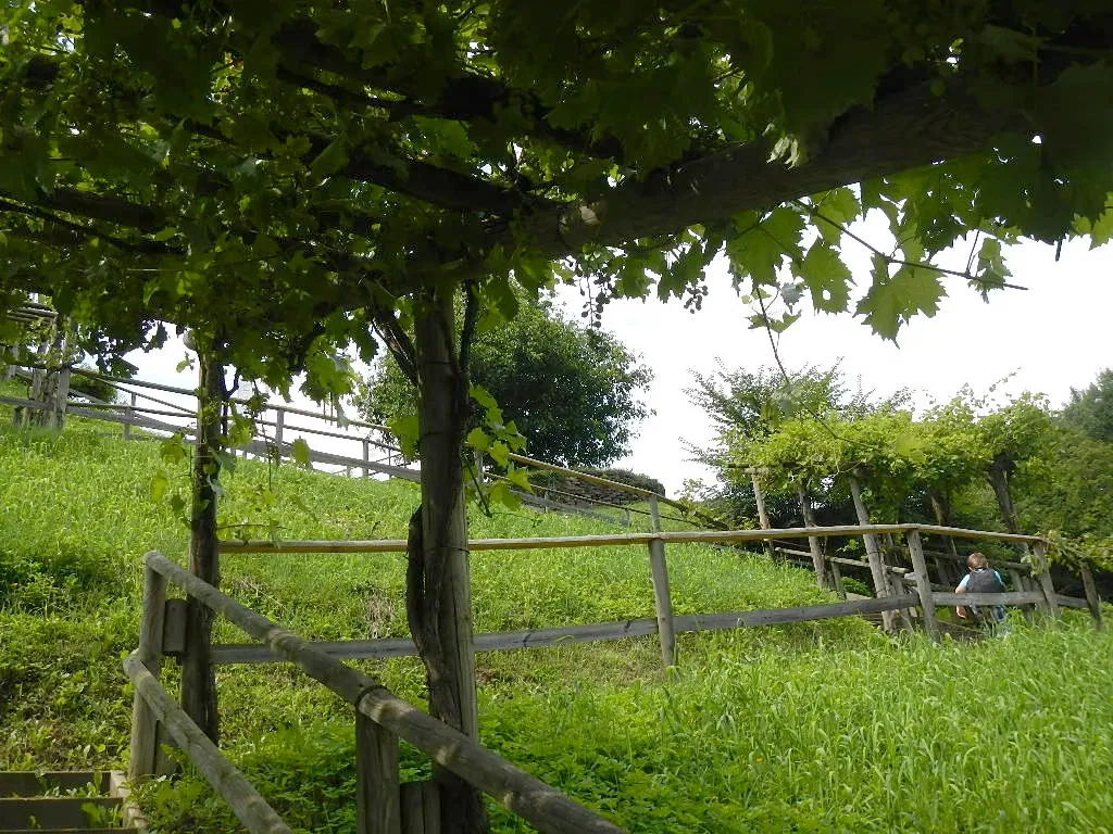 Archeo Norico Castle Museum