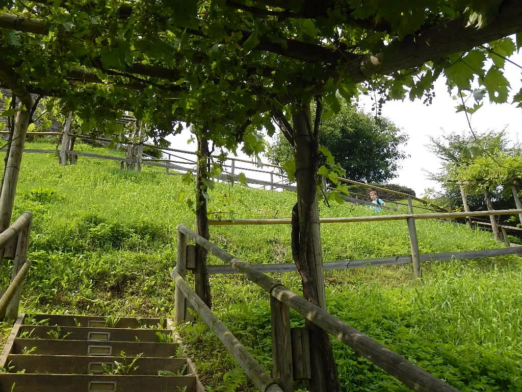 Archeo Norico Castle Museum