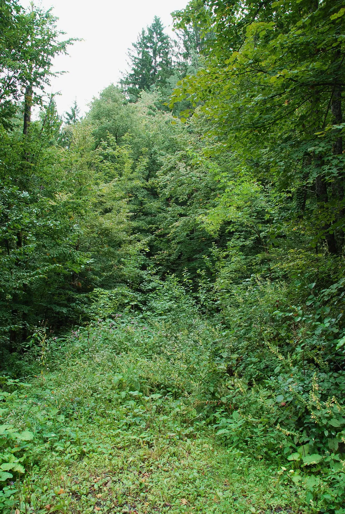 Archeo Norico Castle Museum